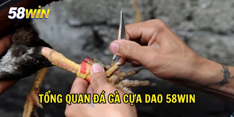 Tổng quan về game đá gà cựa dao tại nhà cái 58Win