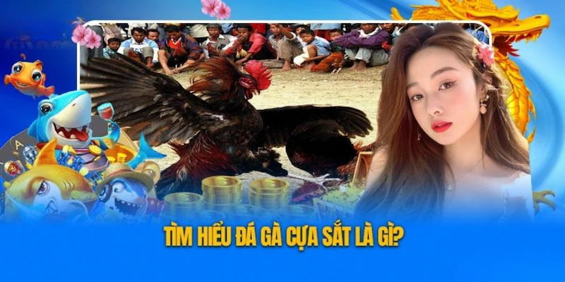 Tổng quan về đá gà cựa sắt là gì